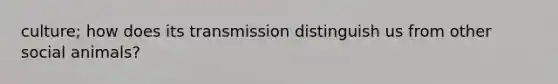 culture; how does its transmission distinguish us from other social animals?