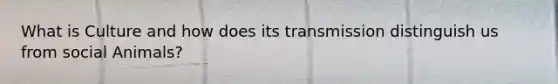 What is Culture and how does its transmission distinguish us from social Animals?