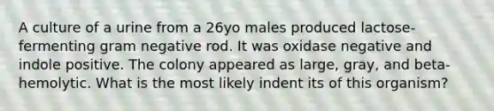 A culture of a urine from a 26yo males produced lactose-fermenting gram negative rod. It was oxidase negative and indole positive. The colony appeared as large, gray, and beta-hemolytic. What is the most likely indent its of this organism?