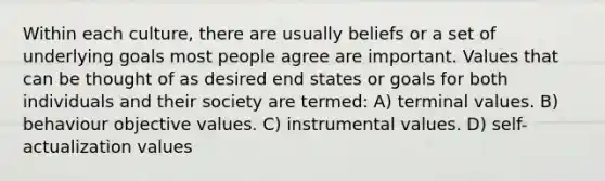 Within each culture, there are usually beliefs or a set of underlying goals most people agree are important. Values that can be thought of as desired end states or goals for both individuals and their society are termed: A) terminal values. B) behaviour objective values. C) instrumental values. D) self-actualization values