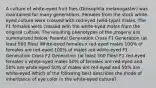 A culture of white-eyed fruit flies (Drosophila melanogaster) was maintained for many generations. Females from the stock white-eyed culture were crossed with red-eyed (wild-type) males. The F1 females were crossed with the white-eyed males from the original culture. The resulting phenotypes of the progeny are summarized below. Parental Generation Cross F1 Generation (at least 500 flies) White-eyed females x red-eyed males 100% of females are red-eyed 100% of males are white-eyed F1 Generation Cross F2 Generation (at least 500 flies) F1 red-eyed females x white-eyed males 50% of females are red-eyed and 50% are white-eyed 50% of males are red-eyed and 50% are white-eyed Which of the following best describes the mode of inheritance of eye color in the white-eyed culture?