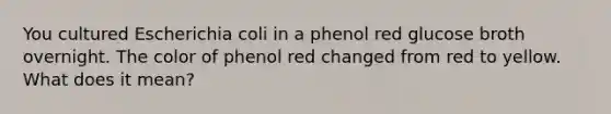 You cultured Escherichia coli in a phenol red glucose broth overnight. The color of phenol red changed from red to yellow. What does it mean?