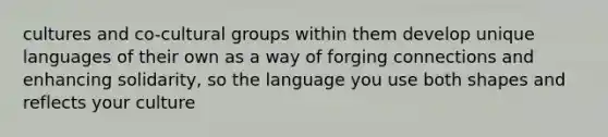 cultures and co-cultural groups within them develop unique languages of their own as a way of forging connections and enhancing solidarity, so the language you use both shapes and reflects your culture