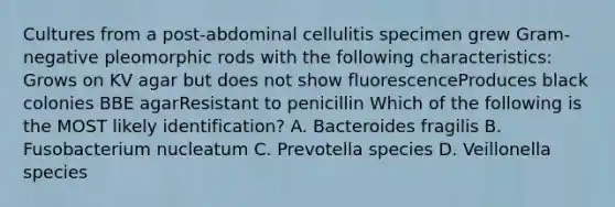 Cultures from a post-abdominal cellulitis specimen grew Gram-negative pleomorphic rods with the following characteristics: Grows on KV agar but does not show fluorescenceProduces black colonies BBE agarResistant to penicillin Which of the following is the MOST likely identification? A. Bacteroides fragilis B. Fusobacterium nucleatum C. Prevotella species D. Veillonella species