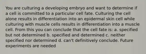 You are culturing a developing embryo and want to determine if a cell is committed to a particular cell fate. Culturing the cell alone results in differentiation into an epidermal skin cell while culturing with muscle cells results in differentiation into a muscle cell. From this you can conclude that the cell fate is: a. specified but not determined b. specified and determined c. neither specified nor determined d. can't definitively conclude. Future experiments are needed