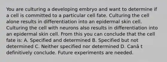 You are culturing a developing embryo and want to determine if a cell is committed to a particular cell fate. Culturing the cell alone results in differentiation into an epidermal skin cell. Culturing the cell with neurons also results in differentiation into an epidermal skin cell. From this you can conclude that the cell fate is: A. Specified and determined B. Specified but not determined C. Neither specified nor determined D. Canâ t definitively conclude. Future experiments are needed.