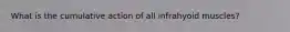 What is the cumulative action of all infrahyoid muscles?