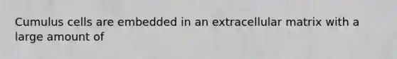 Cumulus cells are embedded in an extracellular matrix with a large amount of