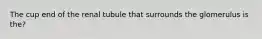 The cup end of the renal tubule that surrounds the glomerulus is the?