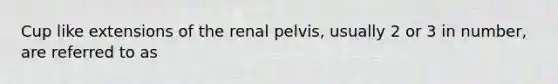 Cup like extensions of the renal pelvis, usually 2 or 3 in number, are referred to as