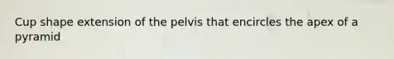 Cup shape extension of the pelvis that encircles the apex of a pyramid