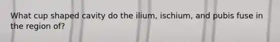 What cup shaped cavity do the ilium, ischium, and pubis fuse in the region of?