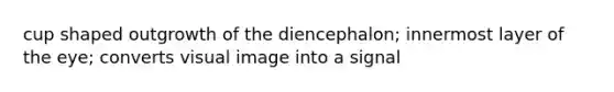 cup shaped outgrowth of the diencephalon; innermost layer of the eye; converts visual image into a signal