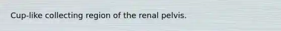 Cup-like collecting region of the renal pelvis.