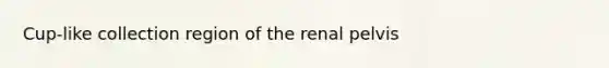 Cup-like collection region of the renal pelvis