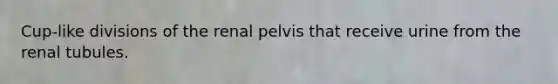 Cup-like divisions of the renal pelvis that receive urine from the renal tubules.