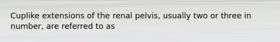 Cuplike extensions of the renal pelvis, usually two or three in number, are referred to as