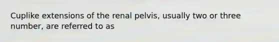 Cuplike extensions of the renal pelvis, usually two or three number, are referred to as