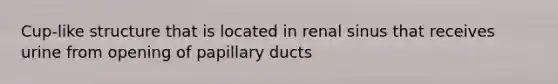 Cup-like structure that is located in renal sinus that receives urine from opening of papillary ducts