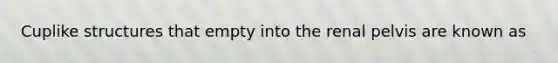 Cuplike structures that empty into the renal pelvis are known as