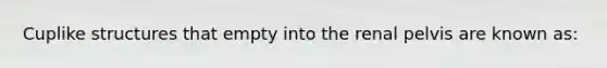 Cuplike structures that empty into the renal pelvis are known as: