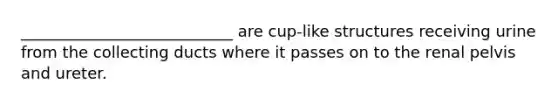 ___________________________ are cup-like structures receiving urine from the collecting ducts where it passes on to the renal pelvis and ureter.