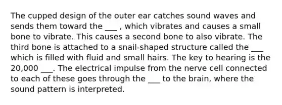 The cupped design of the outer ear catches sound waves and sends them toward the ___ , which vibrates and causes a small bone to vibrate. This causes a second bone to also vibrate. The third bone is attached to a snail-shaped structure called the ___ which is filled with fluid and small hairs. The key to hearing is the 20,000 ___. The electrical impulse from the nerve cell connected to each of these goes through the ___ to the brain, where the sound pattern is interpreted.