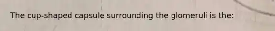 The cup-shaped capsule surrounding the glomeruli is the: