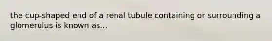 the cup-shaped end of a renal tubule containing or surrounding a glomerulus is known as...