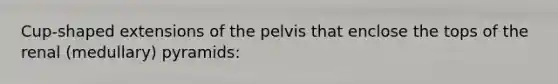 Cup-shaped extensions of the pelvis that enclose the tops of the renal (medullary) pyramids: