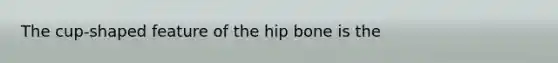 The cup-shaped feature of the hip bone is the