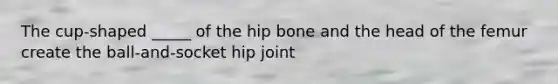 The cup-shaped _____ of the hip bone and the head of the femur create the ball-and-socket hip joint