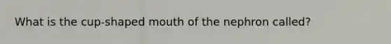 What is the cup-shaped mouth of the nephron called?