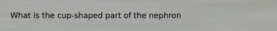 What is the cup-shaped part of the nephron