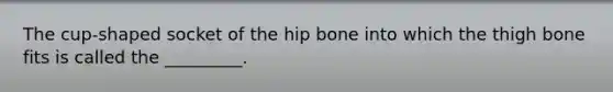 The cup-shaped socket of the hip bone into which the thigh bone fits is called the _________.