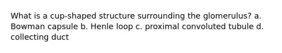 What is a cup-shaped structure surrounding the glomerulus? a. Bowman capsule b. Henle loop c. proximal convoluted tubule d. collecting duct