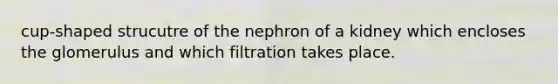 cup-shaped strucutre of the nephron of a kidney which encloses the glomerulus and which filtration takes place.