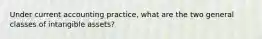 Under current accounting​ practice, what are the two general classes of intangible​ assets?