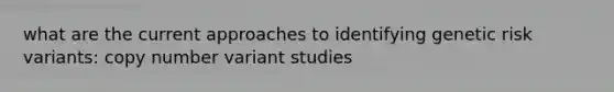 what are the current approaches to identifying genetic risk variants: copy number variant studies