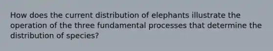 How does the current distribution of elephants illustrate the operation of the three fundamental processes that determine the distribution of species?