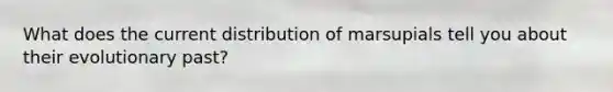 What does the current distribution of marsupials tell you about their evolutionary past?