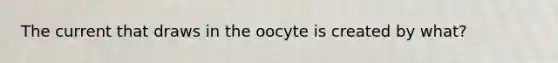 The current that draws in the oocyte is created by what?