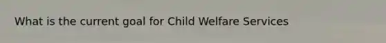 What is the current goal for Child Welfare Services