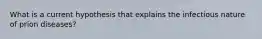What is a current hypothesis that explains the infectious nature of prion diseases?