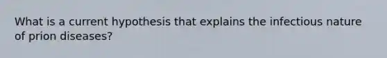 What is a current hypothesis that explains the infectious nature of prion diseases?