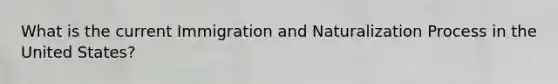 What is the current Immigration and Naturalization Process in the United States?