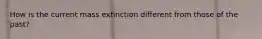 How is the current mass extinction different from those of the past?