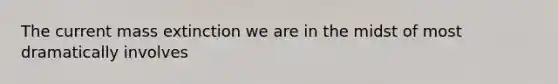 The current mass extinction we are in the midst of most dramatically involves