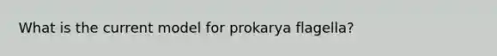 What is the current model for prokarya flagella?