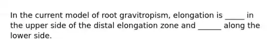 In the current model of root gravitropism, elongation is _____ in the upper side of the distal elongation zone and ______ along the lower side.